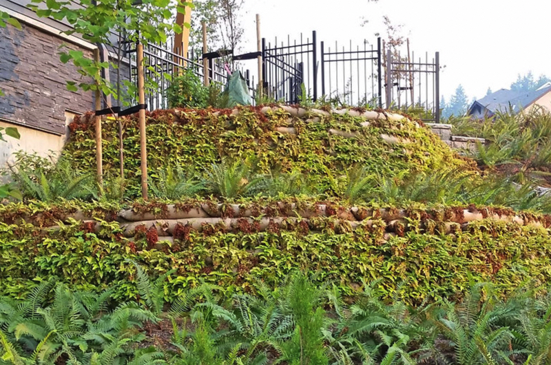 Earthbag retaining wall after vegetation