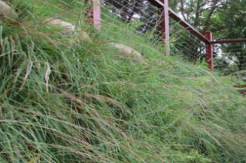 Vegetated earthbag retaining wall